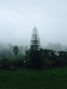 Screen Shot 2014-05-14 at 6.06.16 AM