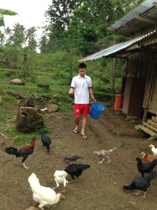 A student feeds the community chickens